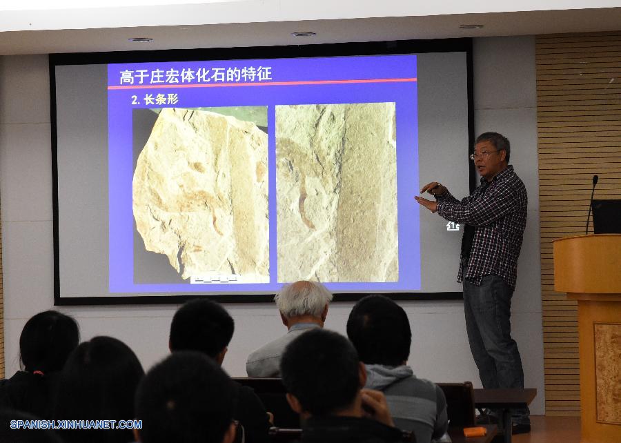 Cient&iacute;ficos chinos han descubierto f&oacute;siles de los organismos pluricelulares m&aacute;s antiguos conocidos en el mundo, que datan de hace 1.560 millones de a&ntilde;os, casi 1.000 millones de a&ntilde;os antes que las estimaciones previas del comienzo de las formas de vida multicelulares.