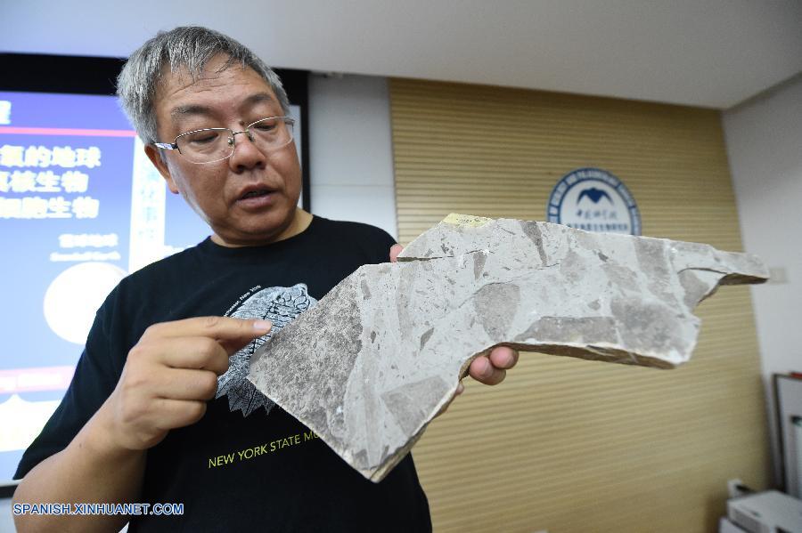 Cient&iacute;ficos chinos han descubierto f&oacute;siles de los organismos pluricelulares m&aacute;s antiguos conocidos en el mundo, que datan de hace 1.560 millones de a&ntilde;os, casi 1.000 millones de a&ntilde;os antes que las estimaciones previas del comienzo de las formas de vida multicelulares.