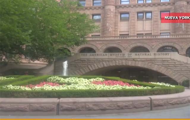 Museos, centros de ense&ntilde;anza de toda la vida