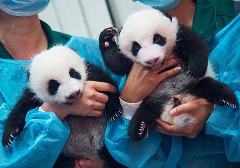 Im&aacute;genes de la semana de 20160822-20160828